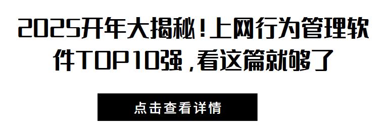 2025开年大揭秘！上网行为管理软件TOP10强，看这篇就够了